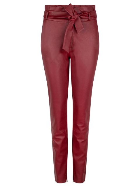 Carrey stretch leather pants