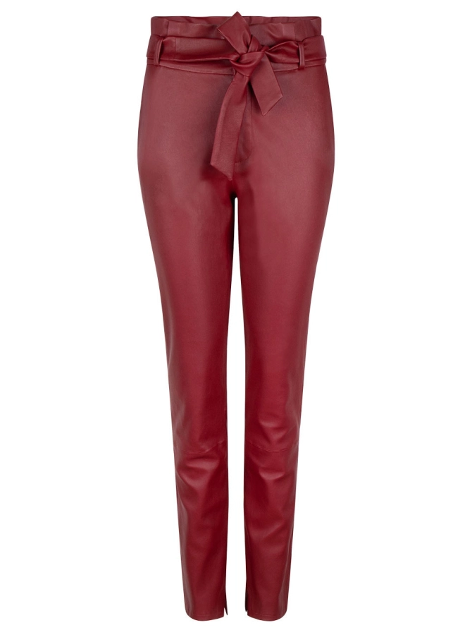 Carrey stretch leather pants